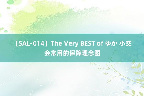 【SAL-014】The Very BEST of ゆか 小交会常用的保障理念图