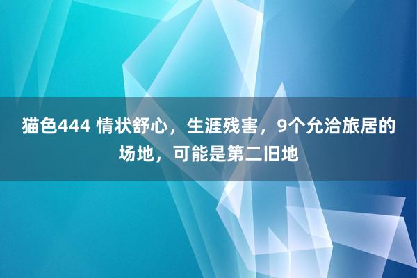 猫色444 情状舒心，生涯残害，9个允洽旅居的场地，可能是第二旧地