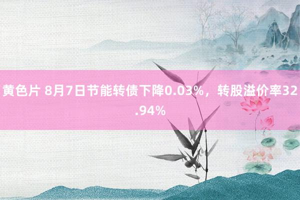 黄色片 8月7日节能转债下降0.03%，转股溢价率32.94%