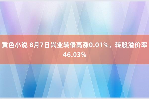 黄色小说 8月7日兴业转债高涨0.01%，转股溢价率46.03%