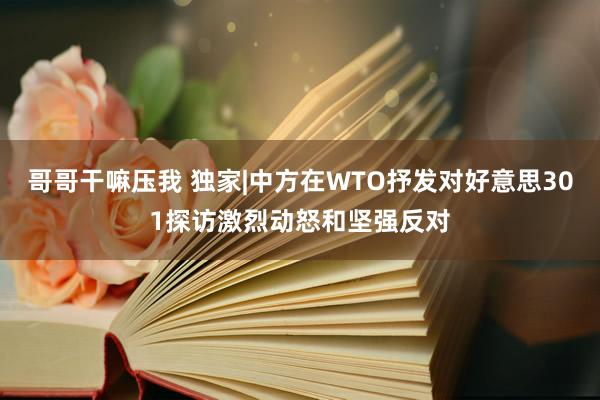 哥哥干嘛压我 独家|中方在WTO抒发对好意思301探访激烈动怒和坚强反对