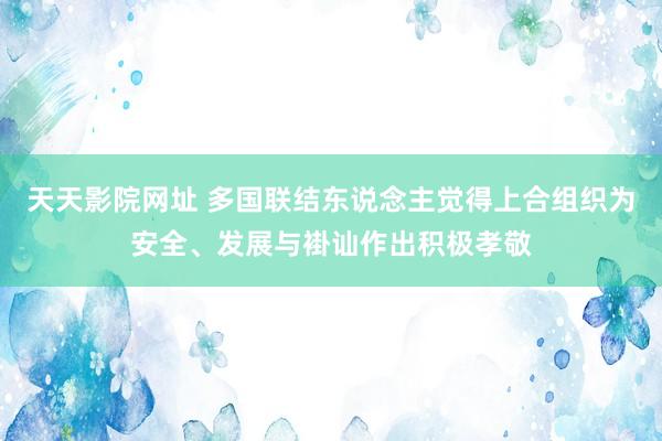 天天影院网址 多国联结东说念主觉得上合组织为安全、发展与褂讪作出积极孝敬