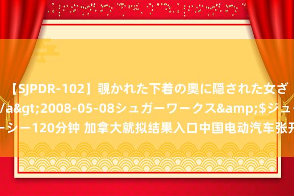 【SJPDR-102】覗かれた下着の奥に隠された女ざかりのエロス</a>2008-05-08シュガーワークス&$ジューシー120分钟 加拿大就拟结果入口中国电动汽车张开公众推敲，触及关税和投资结果