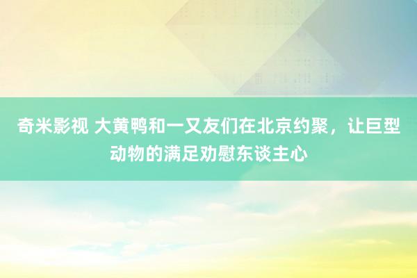 奇米影视 大黄鸭和一又友们在北京约聚，让巨型动物的满足劝慰东谈主心