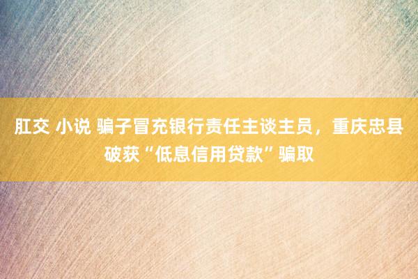 肛交 小说 骗子冒充银行责任主谈主员，重庆忠县破获“低息信用贷款”骗取