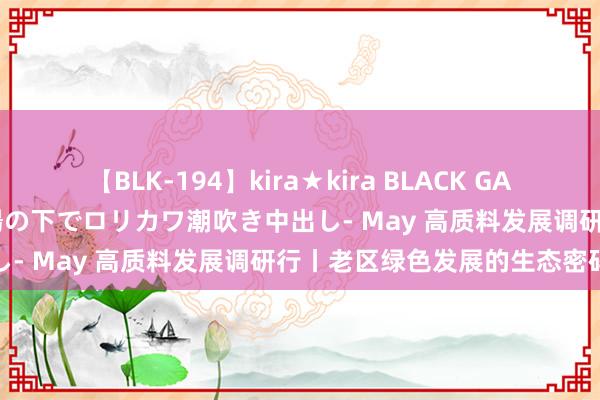 【BLK-194】kira★kira BLACK GAL 黒ギャル青姦露出-灼熱太陽の下でロリカワ潮吹き中出し- May 高质料发展调研行丨老区绿色发展的生态密码