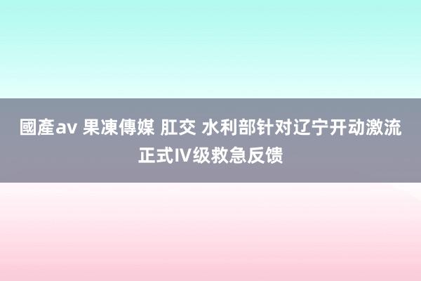 國產av 果凍傳媒 肛交 水利部针对辽宁开动激流正式Ⅳ级救急反馈