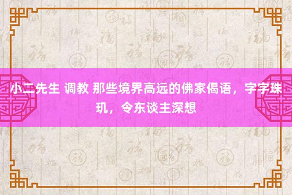 小二先生 调教 那些境界高远的佛家偈语，字字珠玑，令东谈主深想