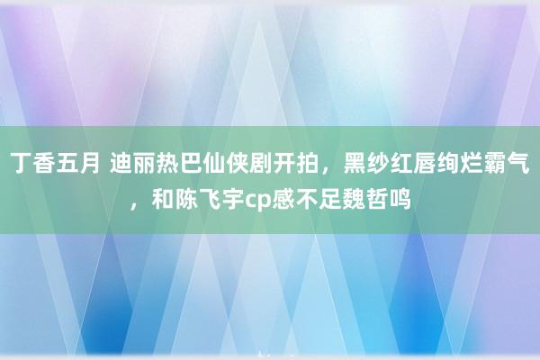 丁香五月 迪丽热巴仙侠剧开拍，黑纱红唇绚烂霸气，和陈飞宇cp感不足魏哲鸣