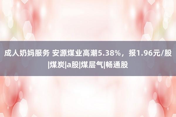 成人奶妈服务 安源煤业高潮5.38%，报1.96元/股|煤炭|a股|煤层气|畅通股