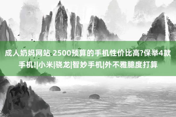 成人奶妈网站 2500预算的手机性价比高?保举4款手机!|小米|骁龙|智妙手机|外不雅臆度打算