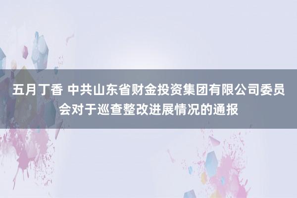 五月丁香 中共山东省财金投资集团有限公司委员会对于巡查整改进展情况的通报