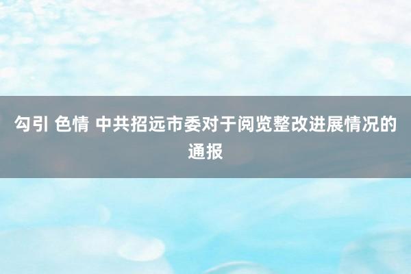 勾引 色情 中共招远市委对于阅览整改进展情况的通报