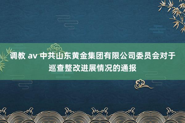 调教 av 中共山东黄金集团有限公司委员会对于巡查整改进展情况的通报