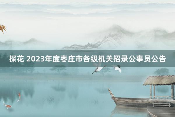 探花 2023年度枣庄市各级机关招录公事员公告