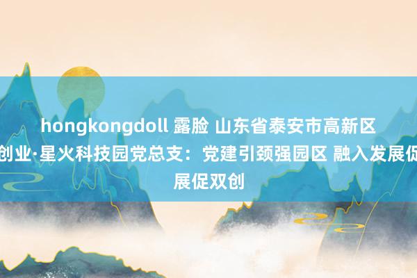 hongkongdoll 露脸 山东省泰安市高新区泰山创业·星火科技园党总支：党建引颈强园区 融入发展促双创