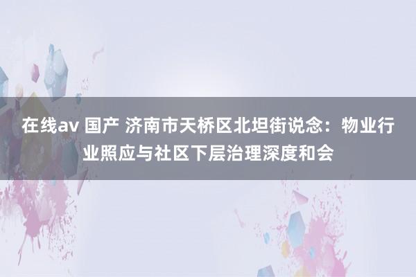 在线av 国产 济南市天桥区北坦街说念：物业行业照应与社区下层治理深度和会